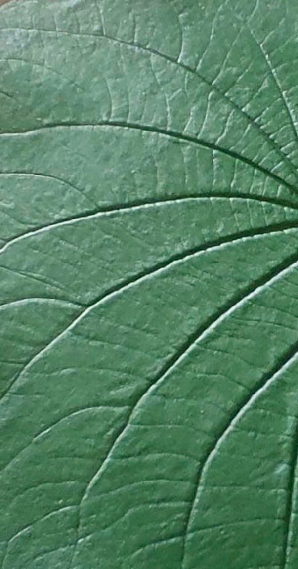 SP ARTE 2024 - Tapete Amazonas por Mari Dabbur