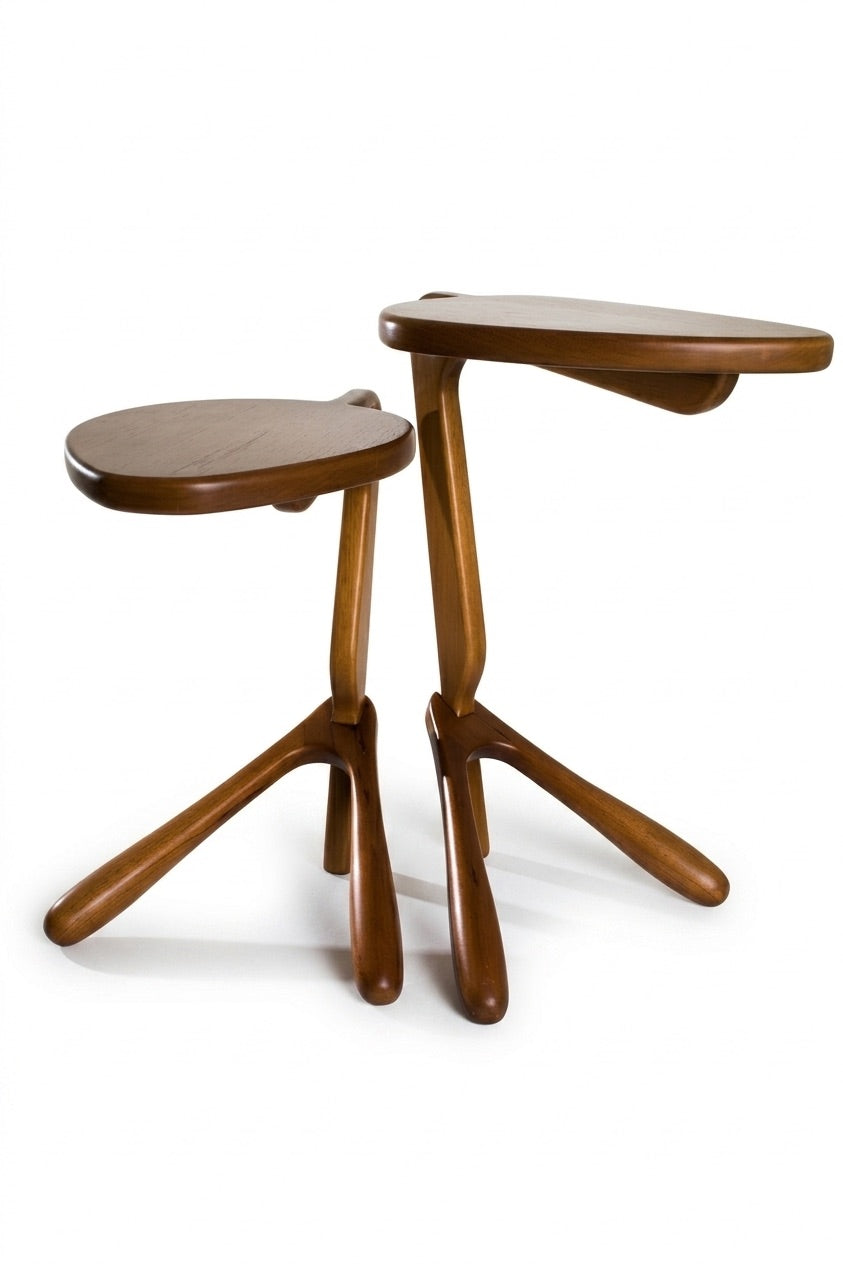 Mesa Broto P